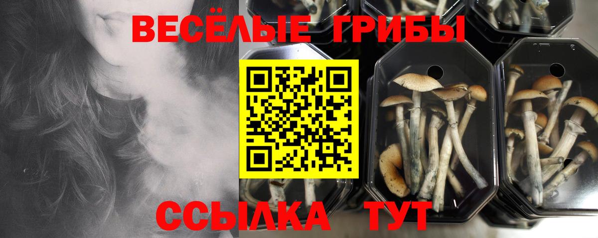 Псилоцибиновые грибы мухоморы  Псилоцибиновые грибы мухоморы  Алапаевск  Вход с VPN 