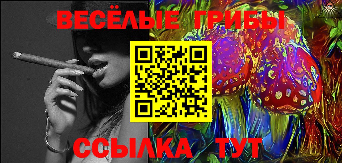 Галлюциногенные грибы Psilocybe Алапаевск